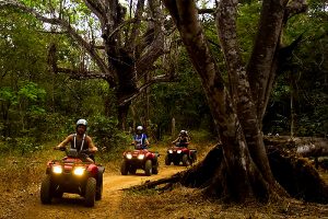 Zip lining near Guanacaste Costa Rica