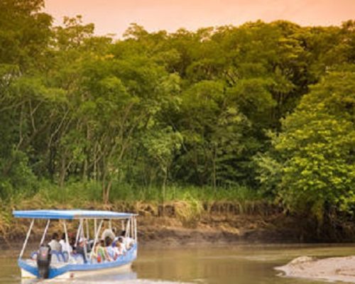 Palo Verde Boat Tour Safari - Native's Way Costa Rica - Tamarindo Tours