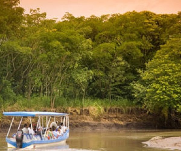 Palo Verde Boat Tour Safari - Native's Way Costa Rica - Tamarindo Tours