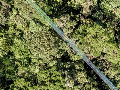 Monteverde hanging bridges