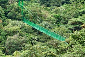 Hanging bridges Monteverde