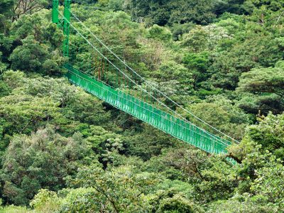 Hanging bridges Monteverde