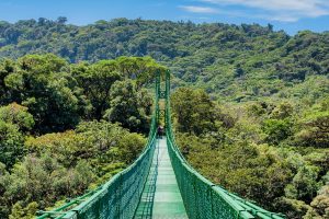 Costa Rica hanging bridges