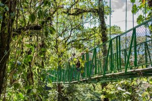 Costa Rica hanging bridges