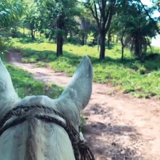 Hacienda Guachipelin Horseback Adventure Combo - Native's Way Costa Rica Tours