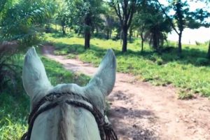 Hacienda Guachipelin Horseback Adventure Combo - Native's Way Costa Rica Tours
