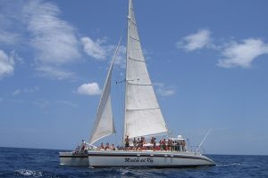 Marlin del Rey Catamaran Cruise Tour - Native's Way Costa Rica - Tamarindo Tours