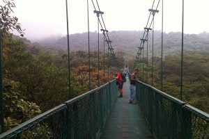 Monteverde Hanging Bridges - Monteverde Cloud Forest Tour - Native's Way Costa Rica Tours