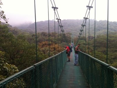 Monteverde Hanging Bridges - Monteverde Cloud Forest Tour - Native's Way Costa Rica Tours