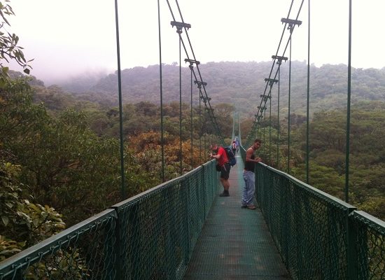 Monteverde Hanging Bridges - Monteverde Cloud Forest Tour - Native's Way Costa Rica Tours