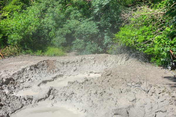 Rincon de la Vieja Volcano National Park Tour - Mud Pot - Native's Way Costa Rica Tours & Transfers