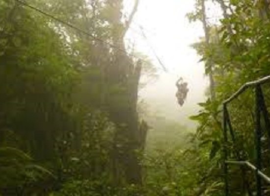 Monteverde Zipline - Cloud Forest Tour - Native's Way Costa Rica Tours