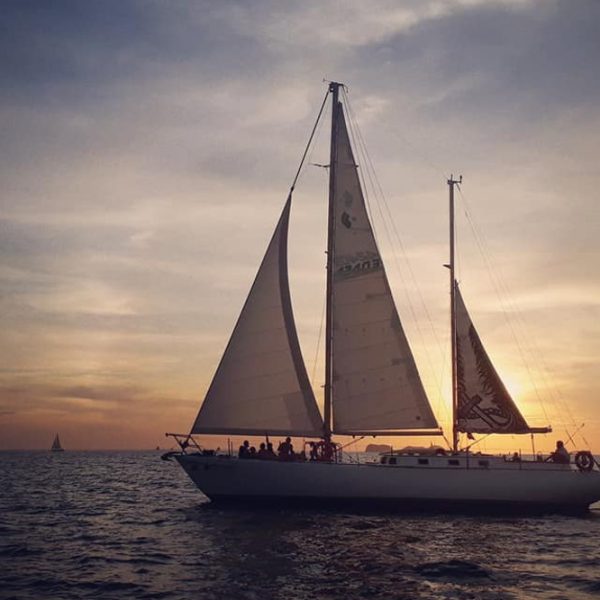 Pegasus Private Sunset Sailing Cruise Tamarindo Flamingo Costa Rica - Tamarindo Tours