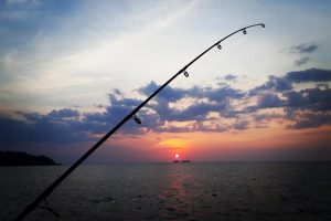 Pegasus Private Sunset Sailing Cruise Tamarindo Flamingo Costa Rica - Tamarindo Tours