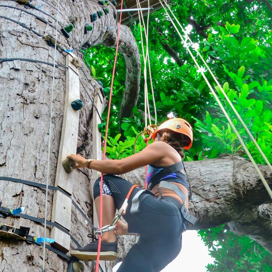 Tamarindo Zipline Tour - Native's Way Costa Rica - Tamarindo Tours and Transfers