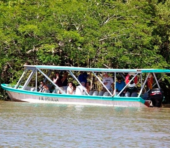 Tamarindo Boat Estuary Mangrove Safari Tour - Native's Way Costa Rica - Tamarindo Tours and Transfers