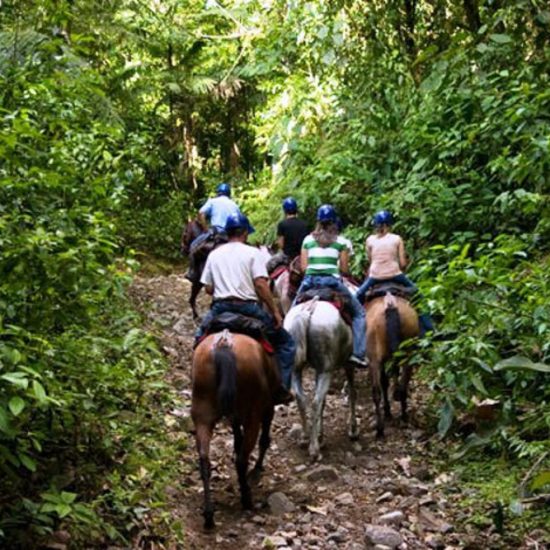 Tamarindo Horseback Riding Tour - Native's Way Costa Rica - Tamarindo Tours