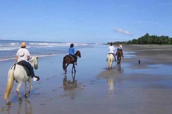 Tamarindo Horseback Riding Tour - Native's Way Costa Rica - Tamarindo Tours