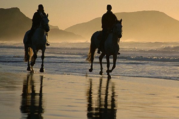 Best Horseback Tamarindo Tour - Native's Way Costa Rica - Tamarindo Tours & Transfers