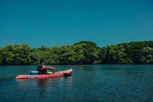 Tamarindo Kayak Estuary Tour - Native's Way Costa Rica - Tamarindo Tours & Transfers