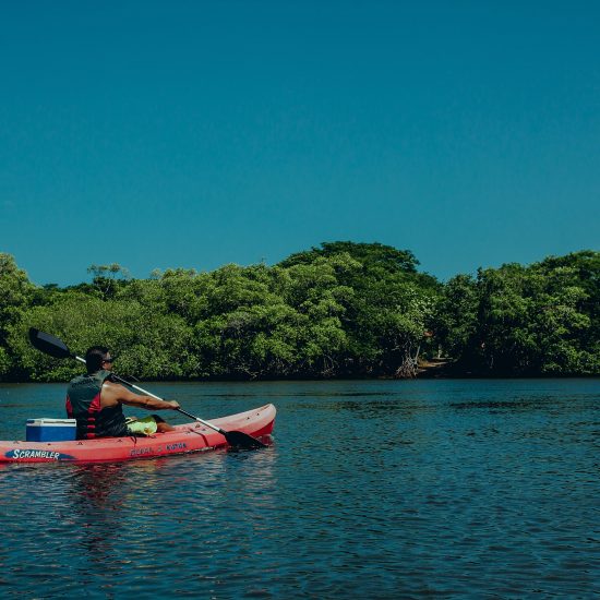 Tamarindo Kayak Estuary Tour - Native's Way Costa Rica - Tamarindo Tours & Transfers