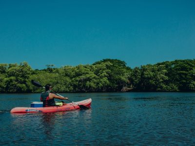 Tamarindo Kayak Estuary Tour - Native's Way Costa Rica - Tamarindo Tours & Transfers