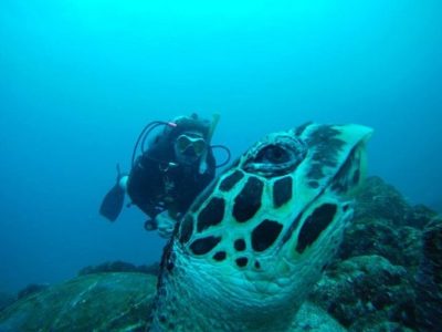 Scuba Diving Catalinas Tour - Native's Way Costa Rica - Tamarindo Tours and Transfers
