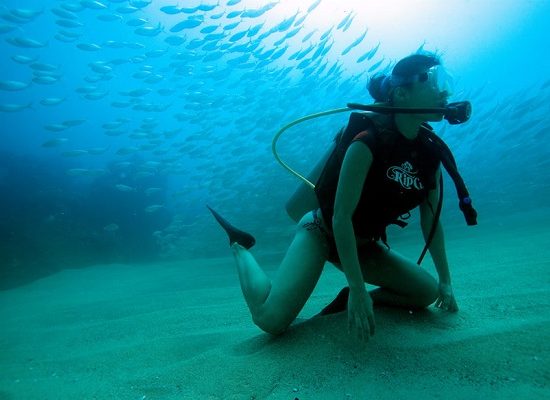 Scuba Diving Catalinas Tour - Native's Way Costa Rica - Tamarindo Tours and Transfers