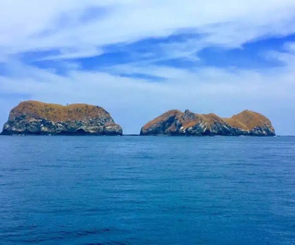 Tamarindo Snorkel Tour Catalinas Islands Native's Way Costa Rica