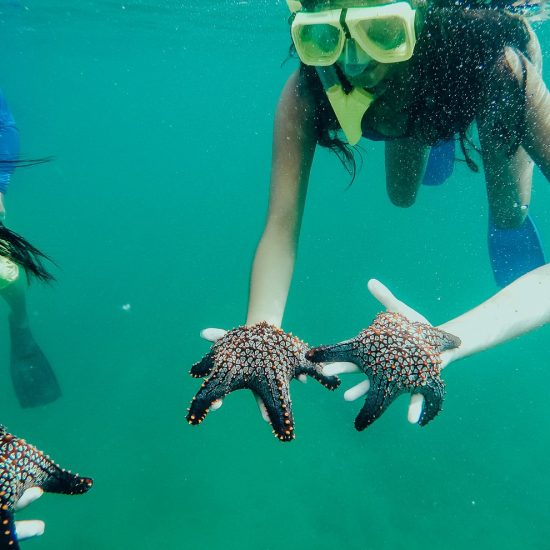 Tamarindo Kayak Snorkel Tour - Native's Way Costa Rica - Tamarindo Tours and Transfers