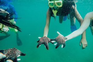 Tamarindo Snorkel Tour Catalinas Islands Native's Way Costa Rica