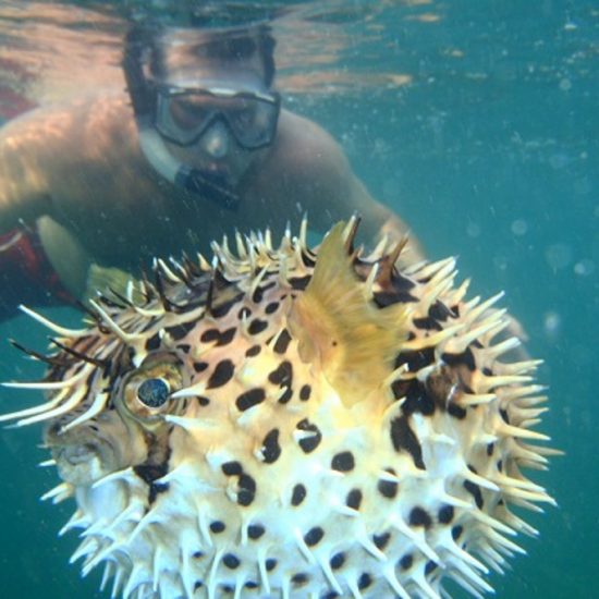 Tamarindo Kayak Snorkel Tour - Native's Way Costa Rica - Tamarindo Tours and Transfers