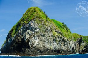 Scuba Diving Catalinas Tour - Native's Way Costa Rica - Tamarindo Tours and Transfers
