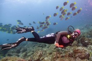 Scuba Diving Catalinas Tour - Native's Way Costa Rica - Tamarindo Tours and Transfers