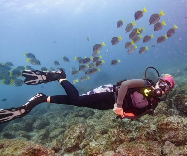 Scuba Diving Catalinas Tour - Native's Way Costa Rica - Tamarindo Tours and Transfers