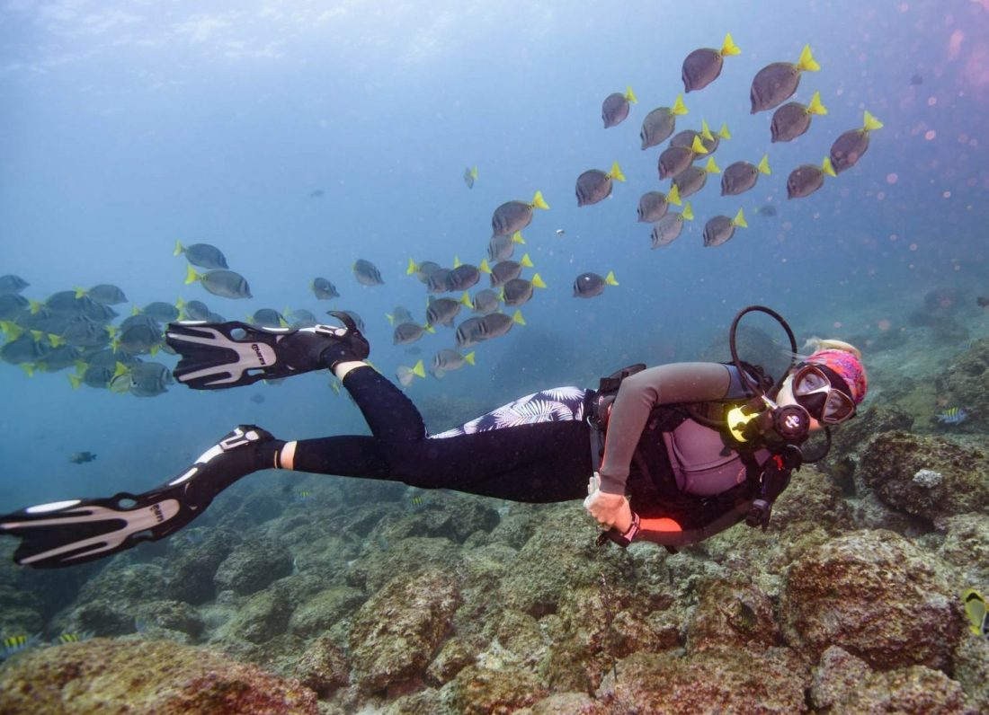 Scuba Diving Catalinas Tour - Native's Way Costa Rica - Tamarindo Tours and Transfers