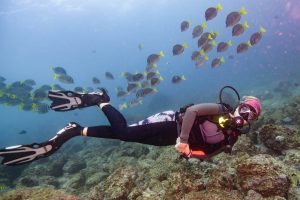Scuba Diving Catalinas Tour - Native's Way Costa Rica - Tamarindo Tours and Transfers