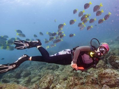 Scuba Diving Catalinas Tour - Native's Way Costa Rica - Tamarindo Tours and Transfers