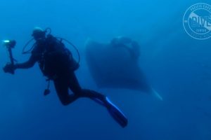 Scuba Diving Catalinas Tour - Native's Way Costa Rica - Tamarindo Tours and Transfers