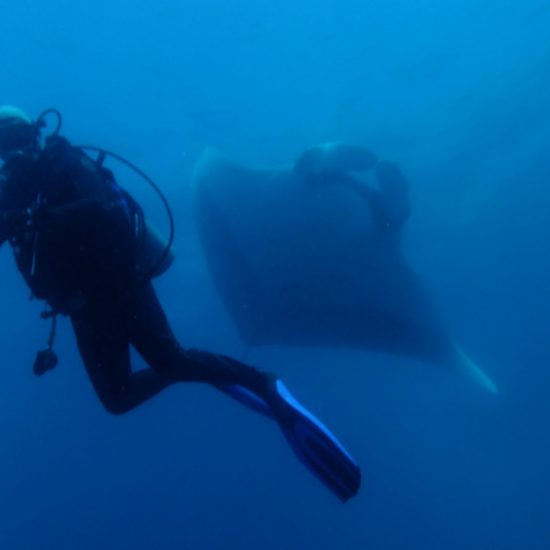 Scuba Diving Catalinas Tour - Native's Way Costa Rica - Tamarindo Tours and Transfers