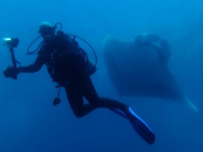 Scuba Diving Catalinas Tour - Native's Way Costa Rica - Tamarindo Tours and Transfers