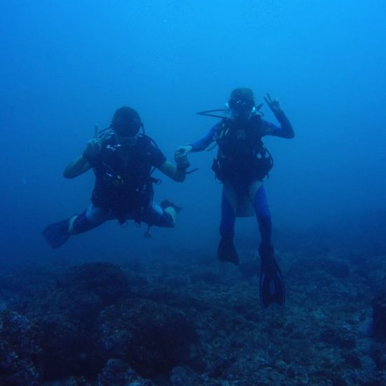 Scuba Diving Catalinas Tour - Native's Way Costa Rica - Tamarindo Tours and Transfers