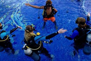 Scuba Diving Catalinas Tour - Native's Way Costa Rica - Tamarindo Tours and Transfers
