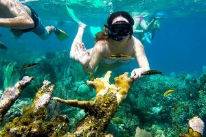 Tamarindo Kayak Snorkel Tour - Native's Way Costa Rica - Tamarindo Tours and Transfers