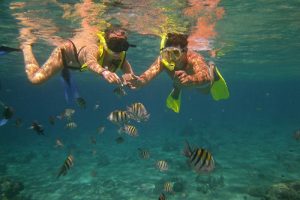Tamarindo Kayak Snorkel Tour - Native's Way Costa Rica - Tamarindo Tours and Transfers