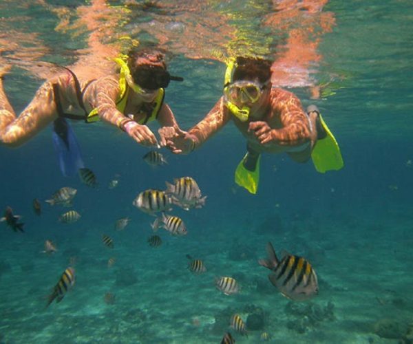 Tamarindo Kayak Snorkel Tour - Native's Way Costa Rica - Tamarindo Tours and Transfers