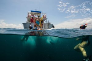 Scuba Diving Catalinas Tour - Native's Way Costa Rica - Tamarindo Tours and Transfers