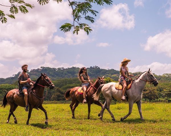 Tamarindo Horseback Riding Tour - Native's Way Costa Rica - Tamarindo Tours