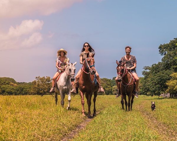 Tamarindo Horseback Riding Tour - Native's Way Costa Rica - Tamarindo Tours
