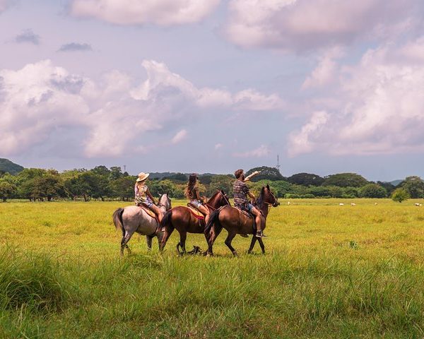 Tamarindo Horseback Riding Tour - Native's Way Costa Rica - Tamarindo Tours